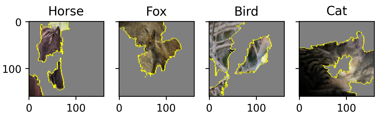 image data local interpretation LIME superpixel interpretable machine learning
