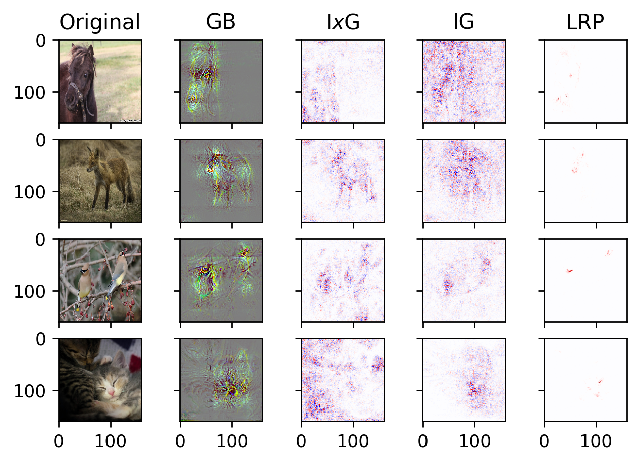 image data local interpretation back propagation techniques GB Guided Backpropagation IxG InputxGradients IG Integrated Gradients LRP Layer-wise Relevance Propagation interpretable machine learning