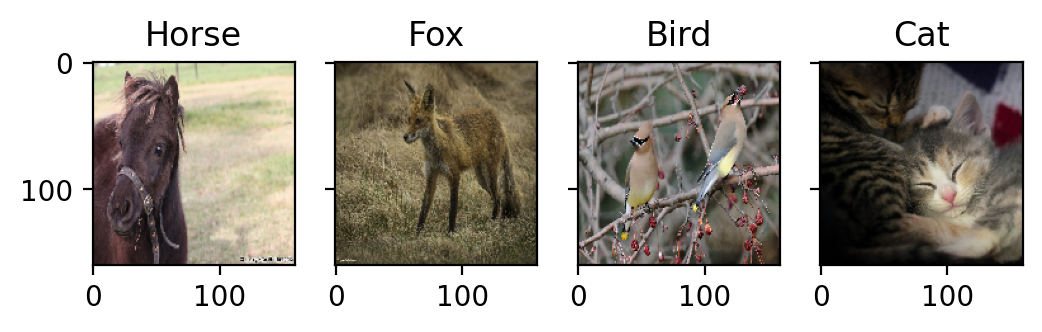 example image horse fox bird cat